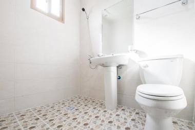 Brassica Flower Pension