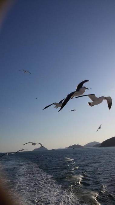 The Pension where I stayed in Yeosu