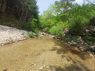 Vivaldi House Pension