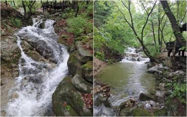 Vivaldi House Pension