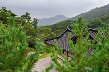 Chungju Solnaeeum Hanok Pension
