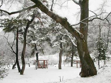Wonju Chiaksan Juryeongol Pension