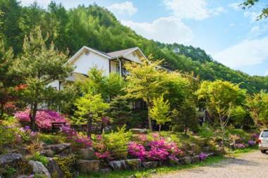 Pyeongchang Geumdang Lodge Pension
