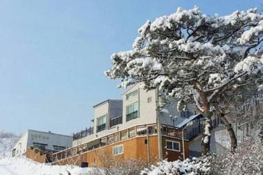 Pyeongchang Daegwallyeong Modern Ville Pension