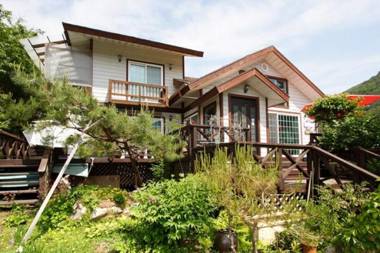 Pyeongchang Yasaenghwa Theme Pension