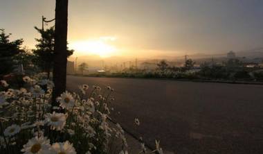 Pyeongchang Daegwallyeong White Tree Pension