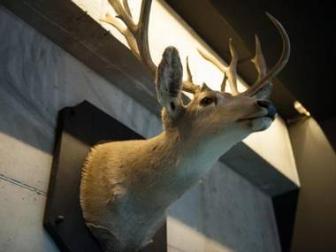 Sl Boutique Hotel Ansan