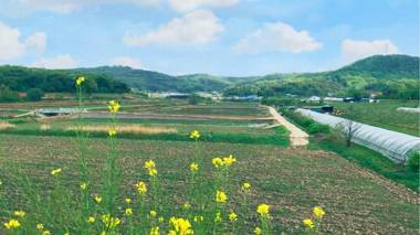 asangeulraempingkaempingjang