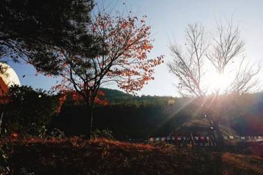 Changnyeong Star Forest Glamping Pension