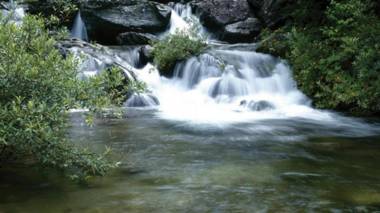 Muju Full House Pension