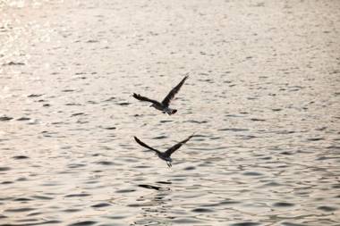 Namhae Badatga Byeoljang Pension