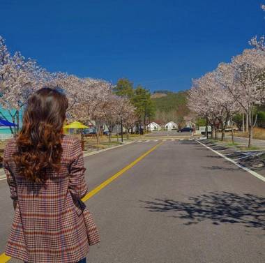 Geochang Surfing Park