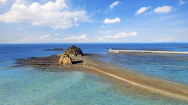 Anmyeondo 7th Cat Pesnion