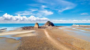 Anmyeondo 7th Cat Pesnion