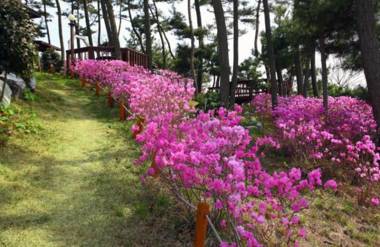 Taean Petit Maison Pension