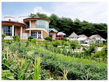 Sun flower pension