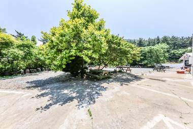 Taean (Sinjindo) New World