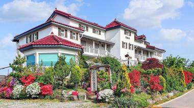 anmyeondo gold hue pension