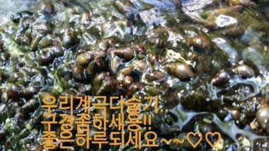 Yangpyeong Sansuhwa Pension