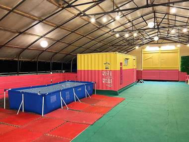 Thank You Dog Pension