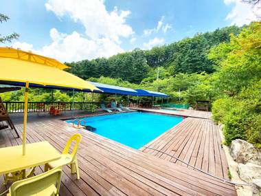 Thank You Dog Pension