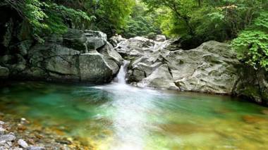 Yangpyeong Siesta Pension
