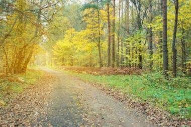 Yangpyeong Siesta Pension