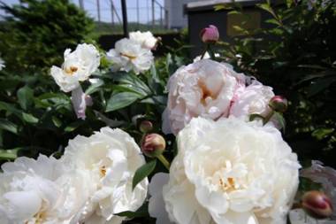 Yangpyeong Maison du Ciel Pension