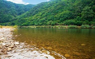 Danyang Pine Caravan Camping