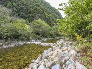 Danyang a Day in the Forest Pension