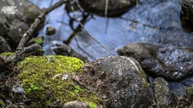 Danyang Sanmaru Pension