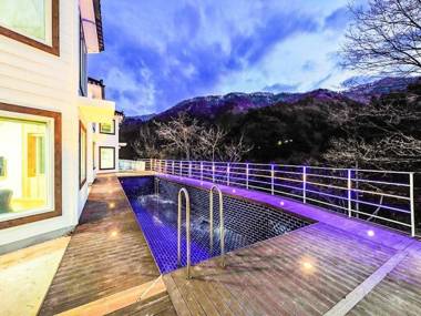 Gapyeong Camel Pension (swimming pool spa)