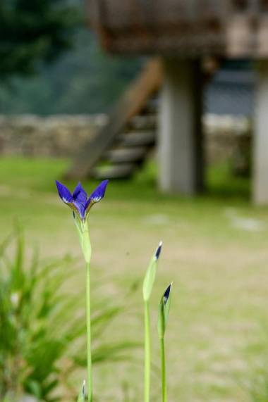 gapyeong cwiongyesulgwan