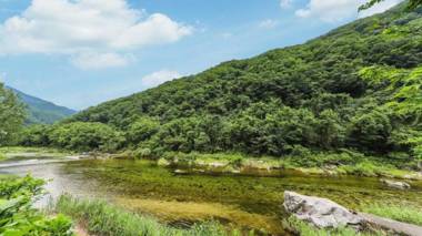 Gapyeong Paradiso Kids Pension