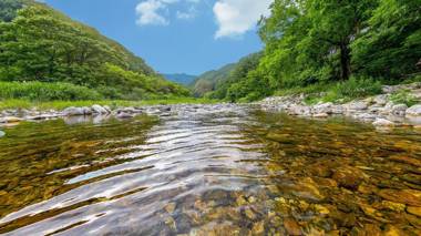 Gapyeong Cherrish Pension