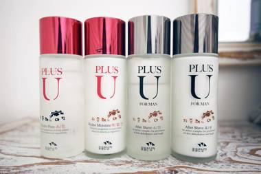 Eumseong Jijunghaeui Achim