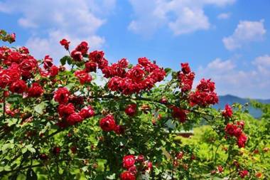 Namyangju Good Morning Pension