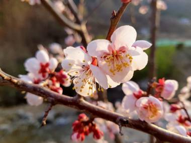 Goseong Dal Beach Pension