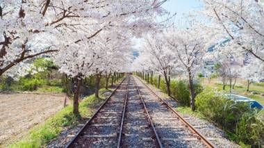 Namiseom 2020 Spa Poolvilla