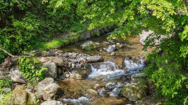 Gapyeong Cheotnooneh Pension
