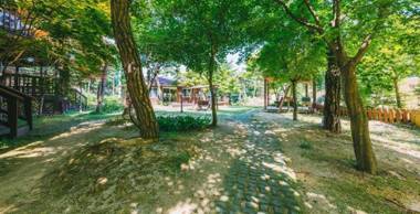 Very Special Trip Pension