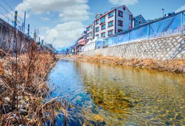 Chuncheon (Namiseom) Pine Hill Pension