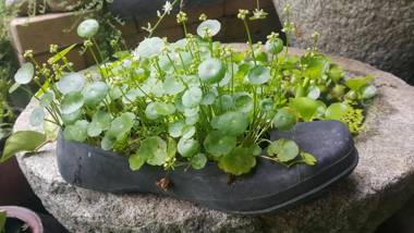 Hanok Story Guesthouse