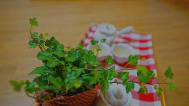 Jeonju Ihwawon Healing Gonggan Guest House