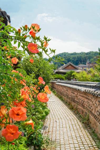 jeonjuhanogmaeul ilragdangsarangcae