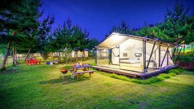 seocheon paintree glamping