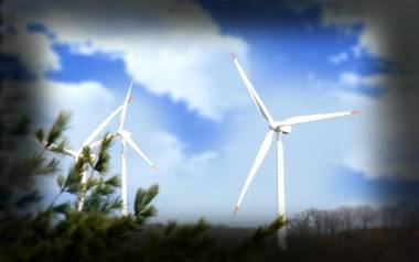 Pungcha & Herb Pension