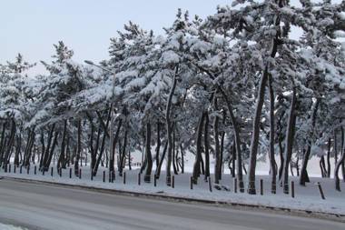 Gangneung Gyeongpodae La Mer Hotel