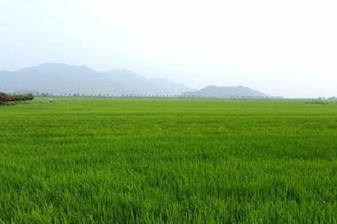 Suncheonman Travel Pension