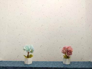 Healinghouse Peakjang